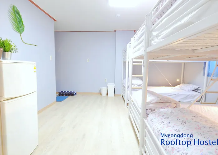 Myeongdong Rooftop Hostel *